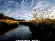 National Geographic Wallpapers 028_jpg